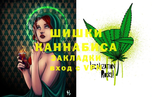 PSILOCYBIN Лабытнанги