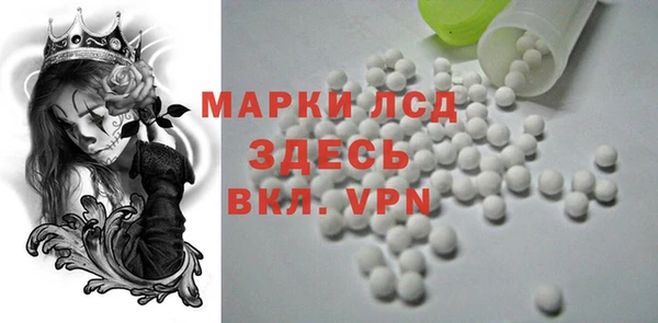 PSILOCYBIN Лабытнанги