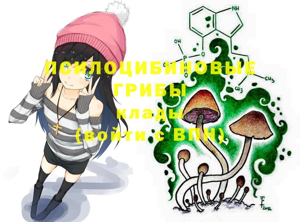 героин Ладушкин