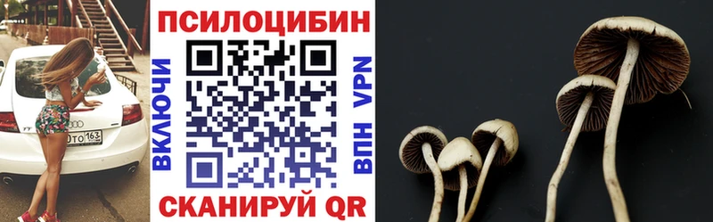 Галлюциногенные грибы Magic Shrooms  Суджа 