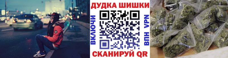 Конопля сатива  закладки  Суджа 